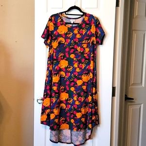 LULAROE CARLY MEDIUM EUC